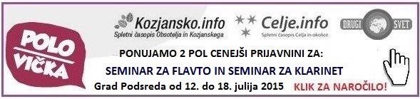 seminar-flavta-polsi-klik