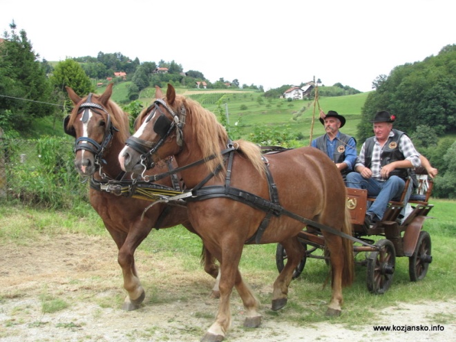 zegnanje konj