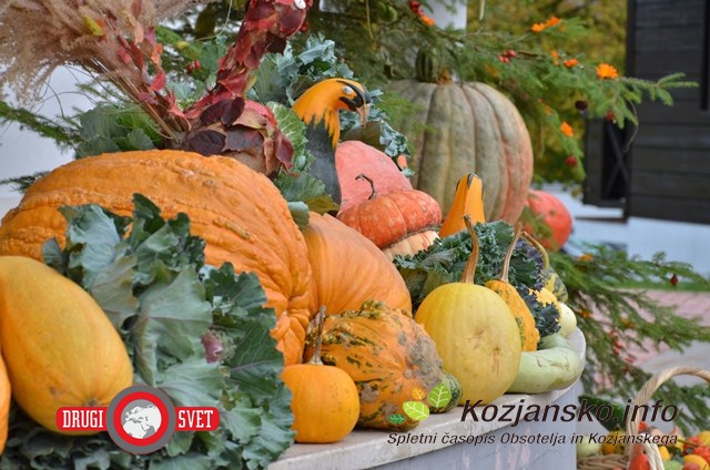 Številne vrste in oblike buč na bučarijadi v Podčetrtku