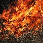 Prenehanje velike požarne ogroženosti naravnega okolja na določenih območjih
