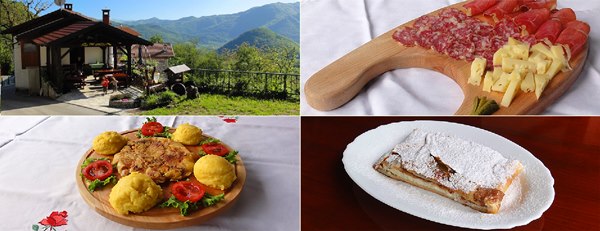 tolmin_orhideja2