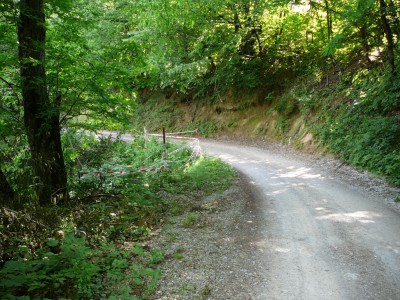 spodnje jelce-presecno stanje maj 2016