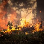 Več požarov v naravi na Kozjanskem in Obsotelju