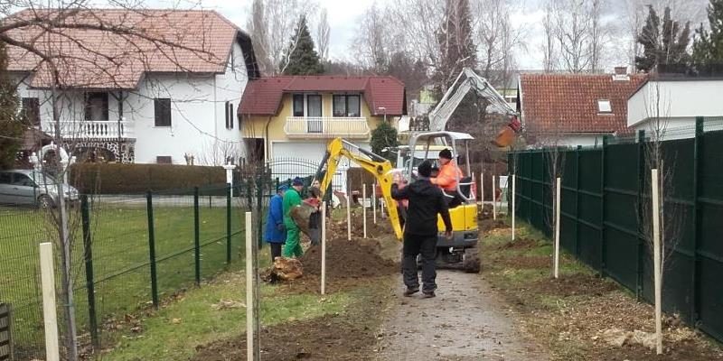 smarje_drevored_december_2017