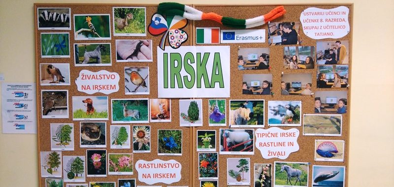 irska_os_dramlje_november_2018