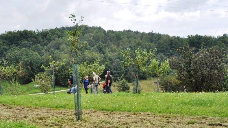 kolekcijski-sadovnjak