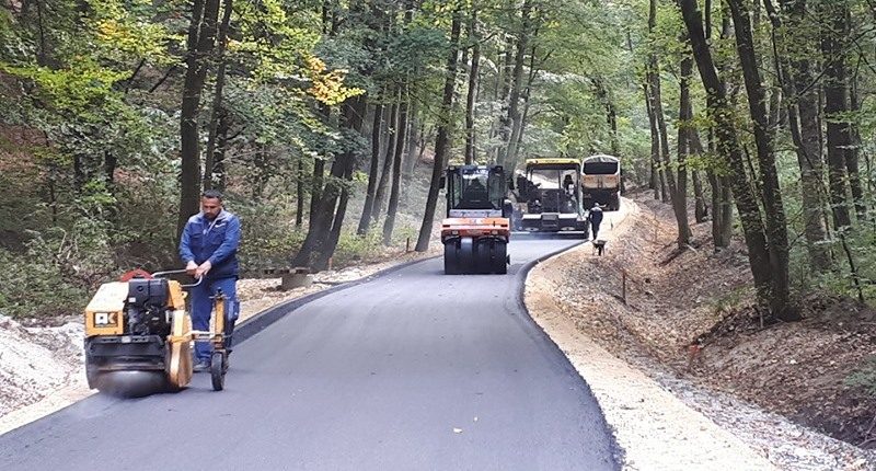 cesta_osredek_2019_oktober