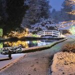 Božična bajka Slovenije 2019 letos s 1.500.000 lučkami in številnimi novostmi