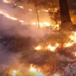 Pri Šentjurju požar na 3 ha podrasti (video)