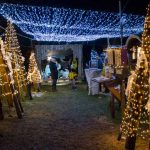 Božično pravljico na domačem dvorišču krasijo »domače« jaslice in  več kot 27.000 prazničnih lučk
