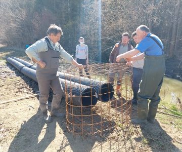 Intervencijski poseg v bobrov jez na potoku Buča (foto LUTRA)