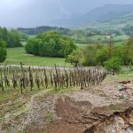 Na nekaterih območjih občine Bistrica ob Sotli prvomajsko neurje uničilo 90 % pridelka (foto)