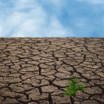 Poziv občanom Šentjurja, ki so na kmetijskih pridelkih utrpeli škodo zaradi posledic suše v letu 2022