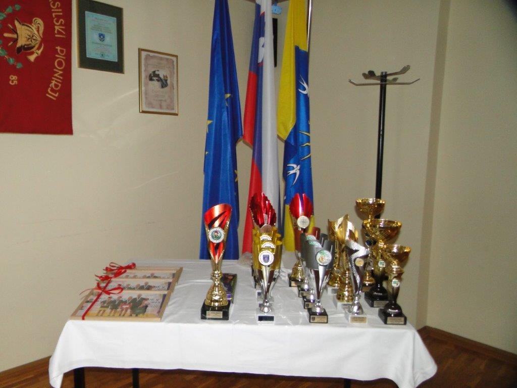 Foto: arhiv PGD Pristava pri Mestinju